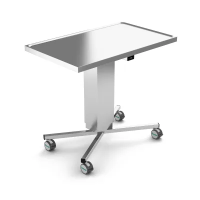 Elektrische aanreiktafel van Remeda