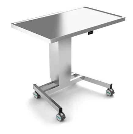 Elektrische overzet- en aanreiktafel